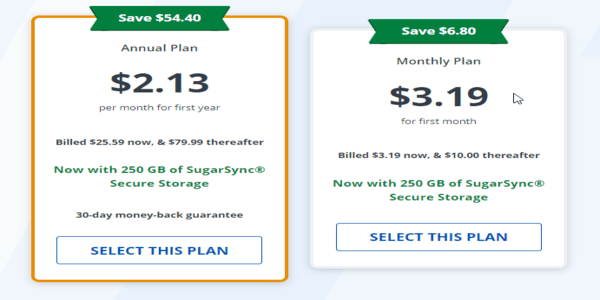 StrongVPN pricing